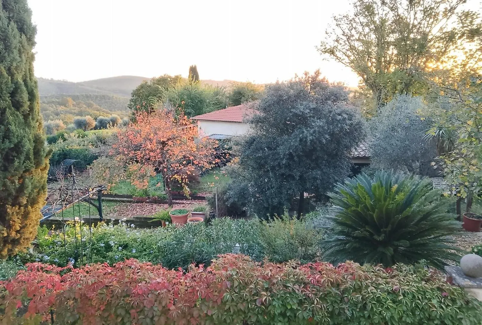 Giuma Tuscany Historic Country House With Roof Terrace Near Saturnia Spa Montemerano